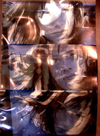 Cyanotypes 2003