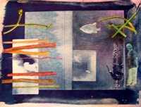 Cyanotypes 2003