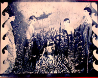 Cyanotypes 2003