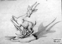 Grade 9 Art