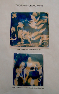 Cyanotypes