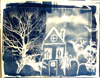 Cyanotypes